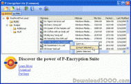 P-Encryption Lite screenshot